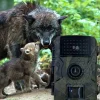 S7f3408edb8a240bd87f67b20a34ac2cfM.webp