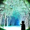 S208458c73a304a79bedde60002696d4fN.webp